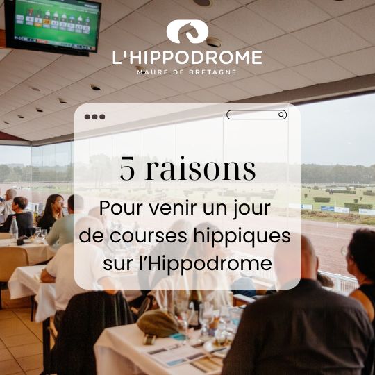 Les 5 raisons pour venir aux courses à l'hippodrome de Maure de Bretagne