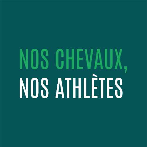 La bientraitance des chevaux de course